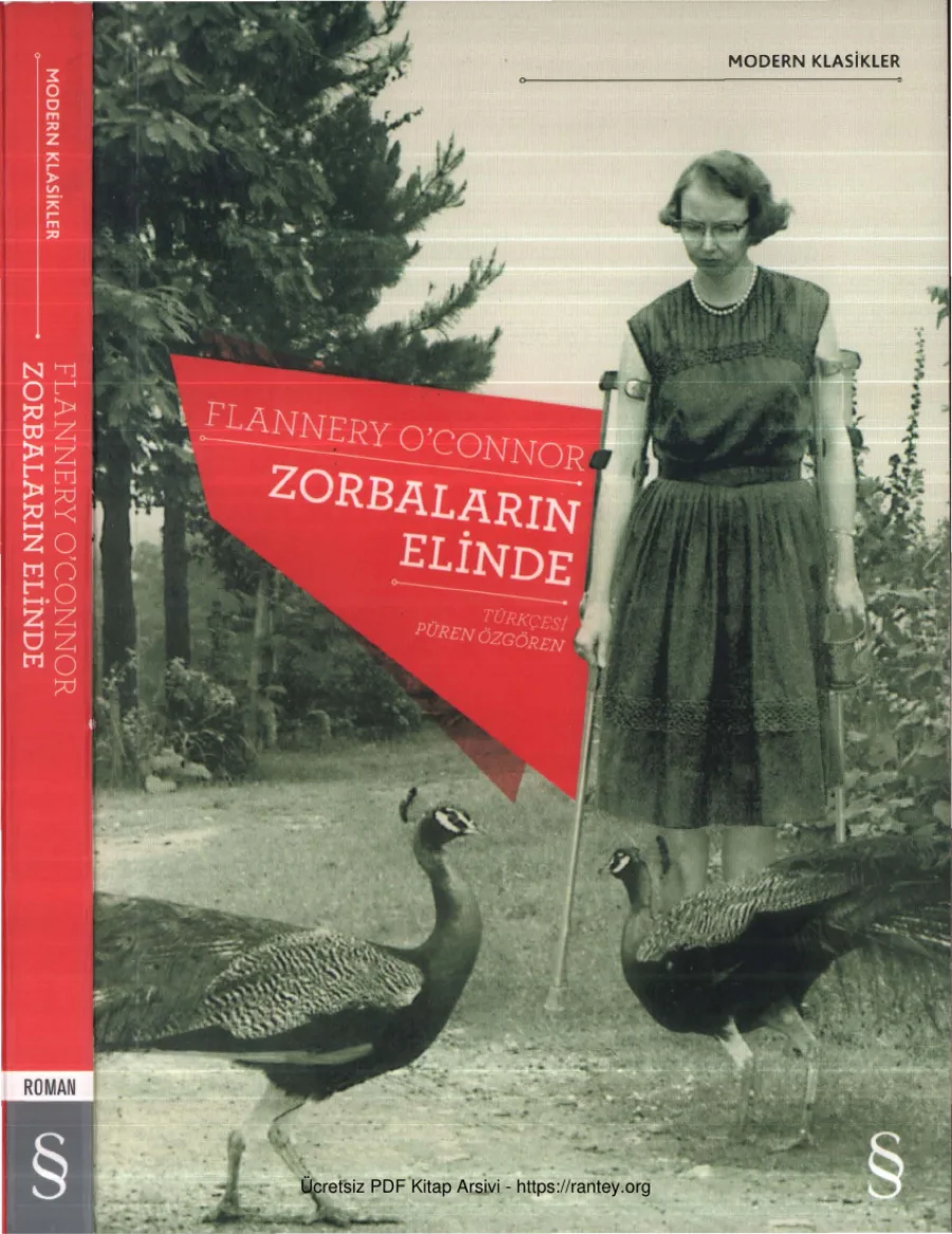 Zorbaların Elinde kapak görseli