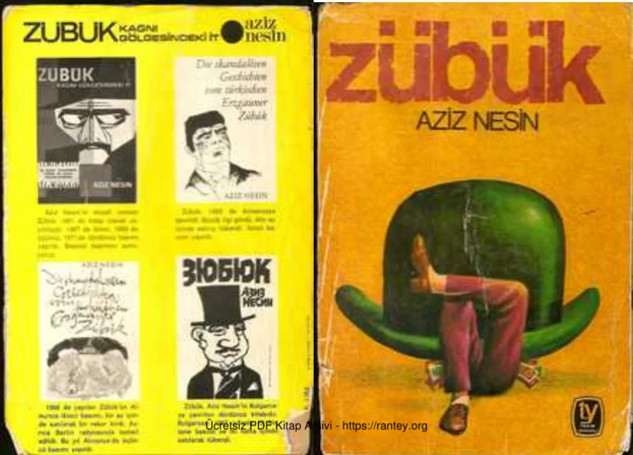 zübük kapak görseli